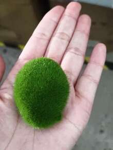 10pcs Artificial Moss Rocks, DIY Green Faux Moss Balls And Stones, Suitable For Floral Arrangement, Fairy Garden And Crafts, Ultra-Fine Fiber Material, Seasonal Decor, Micro Landscape, Outdoor Rock Garden Decoration, Party And Holiday - Green - View 14