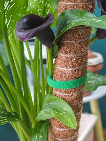 10m Adjustable Reusable Garden Plant Ties, Thickened Design, Strong Support, Suitable For Indoor/Outdoor Gardening, Can Be Used For Tomato Vines And Other Plants, Adhesive Plant Fixer, Can Be Used As Creative Gift, Home Supplies, Gardening Tools