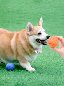 Solid Dog Toy Ball - Durable Rubber Chewing And Training Ball, Elastic, Bite-Resistant, For Teeth Cleaning, Perfect For Play And Exercise, Suitable For Aggressive Chewers Dog Toy - Multicolor - View 11