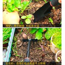 4件組園藝工具組，家用種植、鬆土、鏟子、耙子、盆栽植物、蔬菜園藝、移栽小鏟 - 園藝工具四件套 - 查看 6