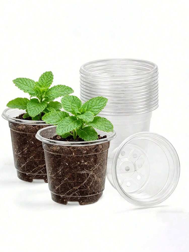 1-5pcs Transparent Plastic Plant Seedling Pots With Drainage Holes, Suitable For Indoor Succulents, Seed Germination, Flower Seedlings, Cuttings, Root Growth Observation - Multicolor - View 3