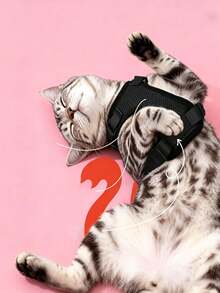 Cat/Dog Breathable Reflective Harness With Leash, Quick-Release Buckle, Anti-Escape Design, For Home And Outdoor Walking, Small To Medium Pet Cat Travel Harness Set - Black - View 5
