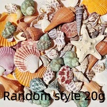 1000g/500g 天然貝殼與海星裝飾，混合天然貝殼、海星與扇貝，多種尺寸，海灘主題派對、DIY手工、水族箱裝飾、家居裝飾、婚禮裝飾（小）婚禮裝飾，隨機尺寸 - 多款式 - 查看 10