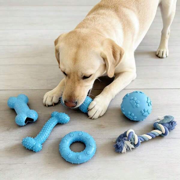 5 pièces Ensemble de jouets pour chien bleu/rose/jaune/vert/violet, jouets à mâcher et à couiner durables pour soulager l'ennui et l'entraînement des chiots, fournitures pour animaux de compagnie de petite à moyenne taille