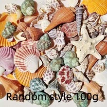 1000g/500g 天然貝殼與海星裝飾，混合天然貝殼、海星與扇貝，多種尺寸，海灘主題派對、DIY 手作、水族箱裝飾、家居裝飾、婚禮裝飾（小）婚禮裝飾，隨機尺寸 - 多色 - 查看 12