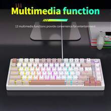 RAIKU Blue Switch Mechanical Keyboard, Gaming Dedicated Hot-Swappable Switches, High Performance Detachable Cable Mechanical Keyboard, RGB 80% Illuminated Keyboard - View 8