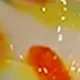 Orange Flower