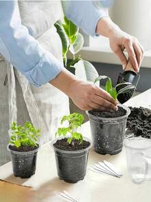 Transparent Plastic Plant Nursery Pots With Drainage Holes, Suitable For Indoor Succulents, Seed Germination, Flower Seedlings, Cuttings, Root Growth Observation, Visible Structure - Multicolor - View 5