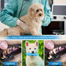 Conjunto de Brinquedos para Dentição de Filhotes - Brinquedos para Dentição de Cães, Anel de Dentição para Filhotes Recém-Nascidos e Corda Durável, Conjunto de Brinquedos de Borracha Azul, Adequado para Cães Pequenos, Bola Interativa Fofa para Cães, Adequado para Cães Pequenos - Azul - Visão 6