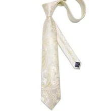 Full Paisley Print Champagne Necktie Matching Hanky Cufflinks Tie Clip Suit Pack For Luxury Yacht Evening Party - Champagne - View 2