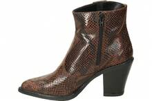 Women Ankle Boots & Booties - Brown - View 4