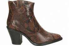 Women Ankle Boots & Booties - Brown - View 1