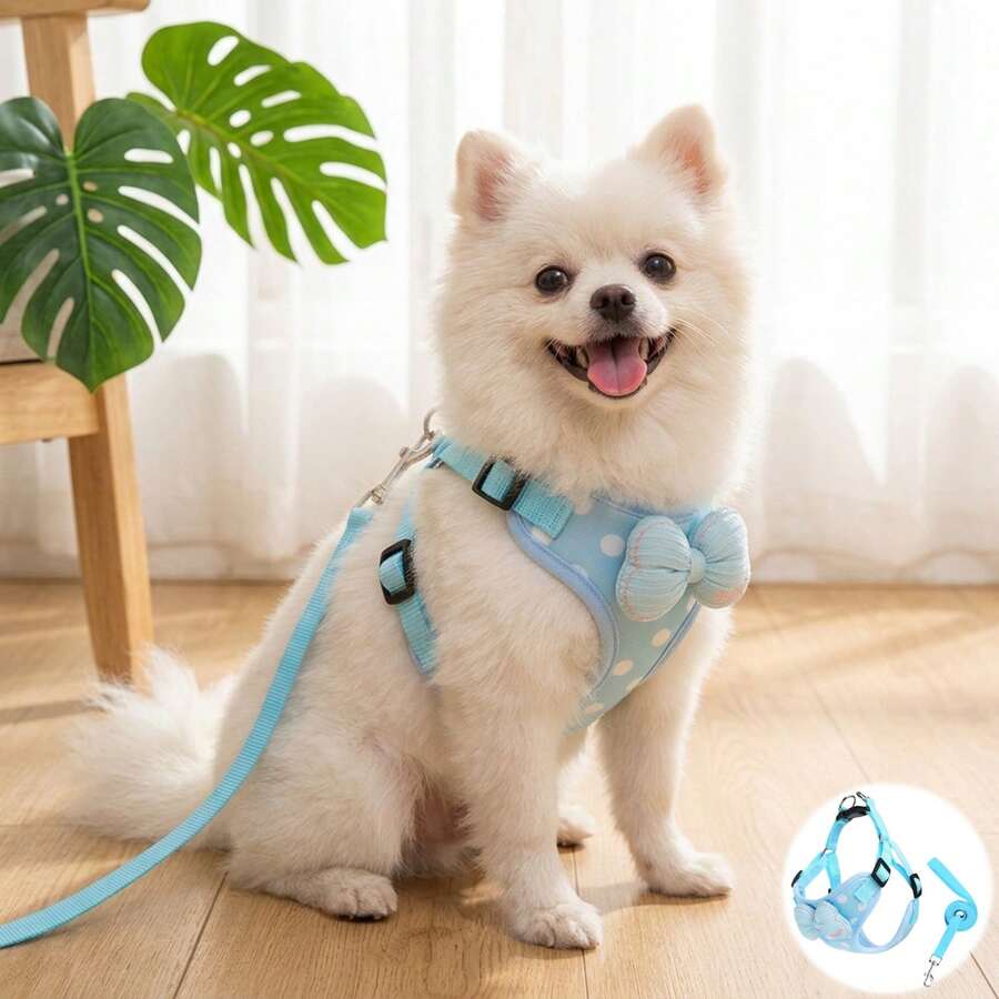 PETCHIC Cute Polka Dot Dog Harness And Leash Set - No Choke Step-In Puppy Vest With 3D Bowtie, Soft Breathable Mesh Escape Proof Cat Harness, Machine Washable Pet Walking Set For Small Medium Dogs