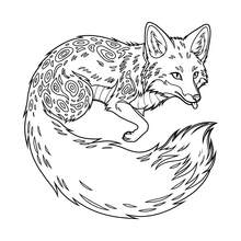 GDTME Plants & Animals Adult Coloring Book: Vintage Pen Sketch Birds, Poppy Flowers & Ginkgo Leaves Wildlife Illustrations, Detailed Monochrome Nature Line Art, Suitable For Adult Stress Relief & Mindfulness Coloring - HY-563 Plants and Animals 1 - View 5