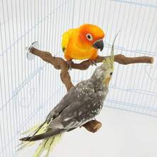 5件組鳥類棲木套組，木製鸚鵡棲架枝條，3個葡萄藤棲木、2個支撐架，爪磨叉鸚鵡咀嚼棒運動訓練枝，適合小型與中型鳥類 - A - 查看 10