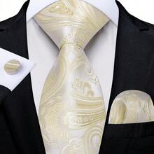 Full Paisley Print Champagne Necktie Matching Hanky Cufflinks Tie Clip Suit Pack For Luxury Yacht Evening Party - Champagne - View 5