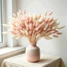 30–240 Pezzi | Erba di coda di coniglio artificiale con lunghezza totale di 17 pollici. Steli di erba di coda di coniglio artificiale decorativi, adatti per composizioni floreali in stile bohémien, artigianato fai-da-te, decorazione per casa/cucina, sfondo per matrimoni, decorazioni natalizie, decorazioni per il Ringraziamento, realizzazione di ghirlande fatte a mano. - Rosa bianco - Visualizzare 2