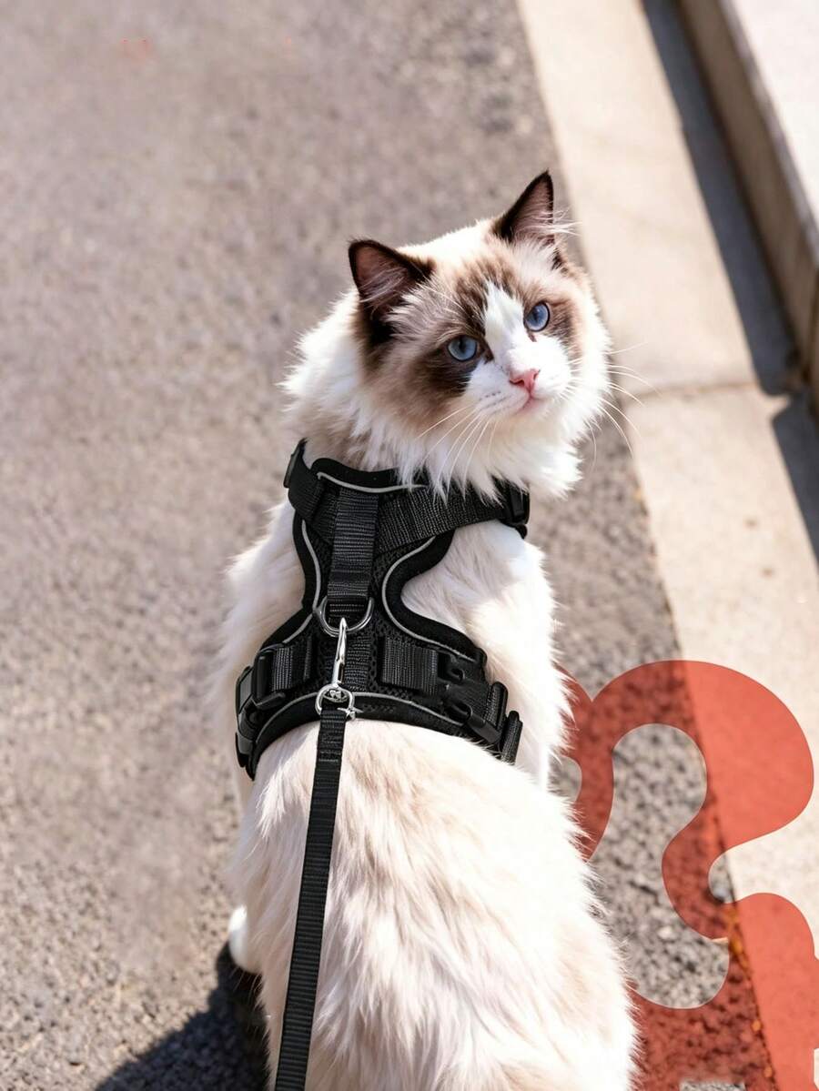 Rompi Harness Kucing Bernapas Reflektif, Harness Dada Kucing, Tali Pengikat, Gesper Lepas Cepat, Desain Anti-Lepas, Untuk Jalan-jalan Kucing di Rumah dan Luar Ruangan, Set Harness Perjalanan Kucing Peliharaan Kecil hingga Sedang - Hitam - View 1