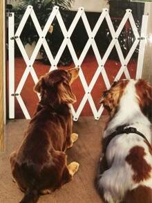 Pet Playpen With Diamond Hollow Vents, Stable Installation, Separates Cats And Dogs, Universal For Household Protection - Multiple Specifications - View 2