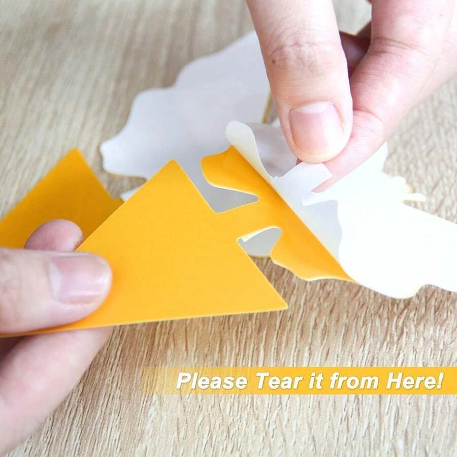 LFSYS Sticky Traps For Gnat, Yellow Sticky Fruit Fly Traps For Indoors Plants, Indoor For Gnat, Fruit Fly, White Fly, Aphid, Leaf Miner - A - View 1