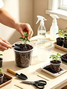 Transparent Plastic Plant Nursery Pots With Drainage Holes, Suitable For Indoor Succulents, Seed Germination, Flower Seedlings, Cuttings, Root Growth Observation, Visible Structure - Multicolor - View 2