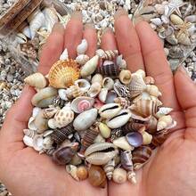 Aquarium Beach Treasure Mix - Shells & Sea Shells - Activate Fish Tank And Glass Tank - A - View 8