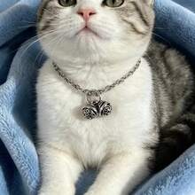 1pc Cute Hollow Bell Pet Collar, Adjustable Shiny Silver Oval Chain Collar, Vintage Cat Accessory, Fashionable Kitten Necklace, Suitable For Dog Cat Pet Portrait, Daily Walk, Wedding Decoration - Silver - View 19