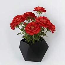 Black Hexagonal Wall-Mounted Planter, Minimalist Unique Hollow Design, Easy Installation, Suitable For Wall Decor - A - View 10