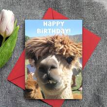 1Pc Fun Alpaca, Fun Birthday Cards With Envelopes, Suitable For Families, Friends, Men And Women, Small Business Supplies, Unusual Items, Thank-You Cards, Birthday Decorations, Humorous Birthday Cards - View 5