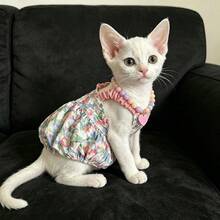 Cute Floral Pumpkin Strap Dress For Small Puppies, Breathable Vest Dress For Bichon Frise And Teddy Dogs In Summer - Watermelon Pink - View 11