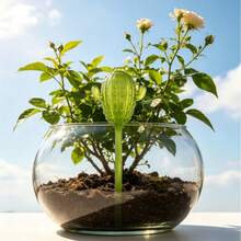 1pc/2pcs/4pcs Cactus Watering Device, PVC Material, Drip Irrigation, Automatic Plant Watering Bulb, Large Capacity, Narrow Mouth Design For Longer Watering Time, Suitable For Indoor And Outdoor Plants - Green - View 4