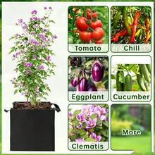 1pc Heavy Duty Square Planter Bag (42.5L / 11 Gallon) – Lightweight And Durable, Made Of Non-Woven Fabric; Suitable For Indoor And Outdoor Use, Perfect For Growing Vegetables And Flowers. - Black - View 5