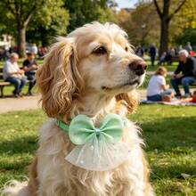 10/20Pcs Princess Pet Bow Tie Collar, Adjustable Cute Bow Neck Accessories For Small Medium Dogs & Cats, Daily Wear Dress Up Decor, Perfect Birthday Valentine Wedding Christmas Party Pet Gift - Multicolor - View 11