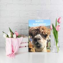1Pc Fun Alpaca, Fun Birthday Cards With Envelopes, Suitable For Families, Friends, Men And Women, Small Business Supplies, Unusual Items, Thank-You Cards, Birthday Decorations, Humorous Birthday Cards - View 6