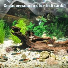 Aquarium Beach Treasure Mix - Shells & Sea Shells - Activate Fish Tank And Glass Tank - A - View 9