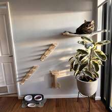 1pc Indoor Cat Wall Furniture, Wooden Cat Wall Shelf, Wall-Mounted Cat Hammock And Perch, Cat Pillar Cat Steps With Sisal Rope, Max Load 12kg (26lb) - Apricot - View 8