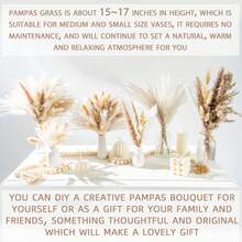 50pcs Artificial Reed Rabbit Tail Grass Dried Flowers Artificial Plants Decoration, Suitable For Garden, Living Room, Home Decor, Room Decor, Bedroom Decor, Party Decor, Wedding Decor - Multicolor - View 6