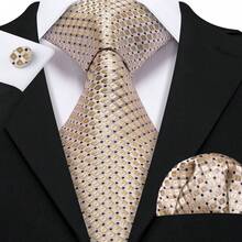 4pcs Champagne Plaids Necktie Matching Hanky Cufflinks Tie Clip Suit Kit For Luxury Yacht Evening Party - Champagne - View 5