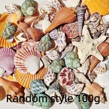 100g Natural Shells And Starfish Decorations, Mixed Natural Shells, Starfish And Scallops, Various Sizes, Beach Theme Party, DIY Crafts, Aquarium Decor, Home Decor, Wedding Decor (Small) Wedding Decor, Random Sizes - Multiple Styles - View 12