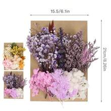 D2 Packs Dried Flowers For Crafts, Resin, And Cakes - Small Dried Flower Assortment, Kit For Scrapbooking DIY Art Crafts, - Multiple Colors - View 3