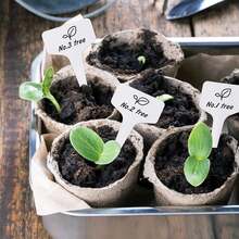 100pcs T-Shaped Plant Labels, 4 Inch Potted Plant Name Tags, Plastic Material, With Marker Pen, Seedling Seed Marker, Suitable For Indoor/Outdoor Garden, Patio, Flowers And Vegetables, White - A - View 3