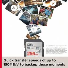 SanDisk Ultra SD Card, U1 C10 SD Memory Card, Suitable For Digital Cameras - View 3