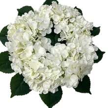 1pc Artificial Flower, Pompon Wreath Door Hanging, Suitable For Holiday Gift Decoration - White - View 5