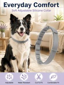 4PCS Adjustable Silicone Dog Comfort Collars, Soft Water-Resistant Cut-To-Fit Pet Collars For Small Medium Large Dogs, Daily Wear, Home, Travel & Outdoor Use - Grey - View 1