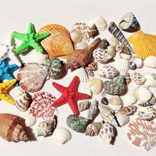 100g Natural Shells And Starfish Decorations, Mixed Natural Shells, Starfish And Scallops, Various Sizes, Beach Theme Party, DIY Crafts, Aquarium Decor, Home Decor, Wedding Decor (Small) Wedding Decor, Random Sizes - Multiple Styles - View 3