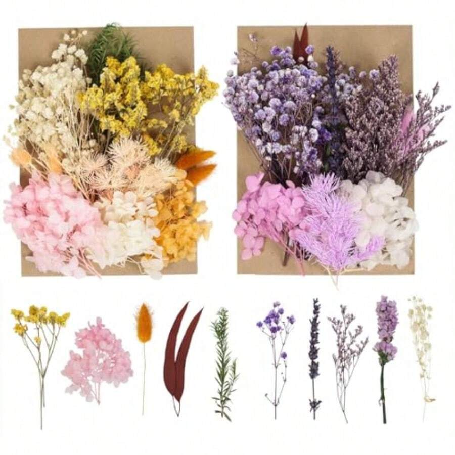 D2 Packs Dried Flowers For Crafts, Resin, And Cakes - Small Dried Flower Assortment, Kit For Scrapbooking DIY Art Crafts, - Multiple Colors - View 1