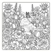 Libro para colorear de gatos en el jardín, audaz y fácil: lindo gato naranja esponjoso rodeado de rosas, flores silvestres y mariposas, ilustraciones de gatitos florales con contornos gruesos y simples para adultos y principiantes, alivio del estrés - DJ-029 Jardín de gatos - Ver 8