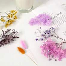 D2 Packs Dried Flowers For Crafts, Resin, And Cakes - Small Dried Flower Assortment, Kit For Scrapbooking DIY Art Crafts, - Multiple Colors - View 6
