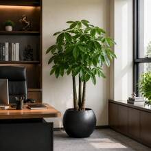北歐風啞光黑大口徑球形樹脂花盆，加厚耐磨防摔耐用，適合室內外使用，適用於龜背竹、天堂鳥、橡皮樹、發財樹等多種植物 - A - 查看 3