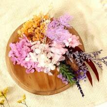 D2 Packs Dried Flowers For Crafts, Resin, And Cakes - Small Dried Flower Assortment, Kit For Scrapbooking DIY Art Crafts, - Multiple Colors - View 7
